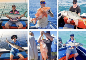 Fish caught at Magnetic Island